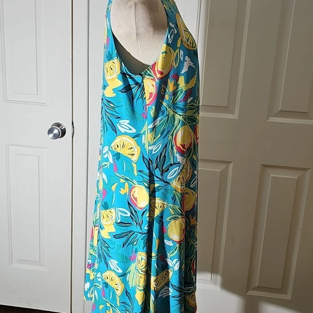 Cappagallo dress NWT Floral Fruit Print Sleeveless Dress Blue and Yellow Size Lg - Picture 4 of 6